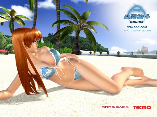 Dead or Alive Online
