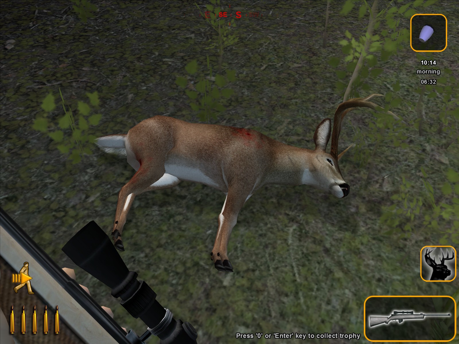 Screenshots