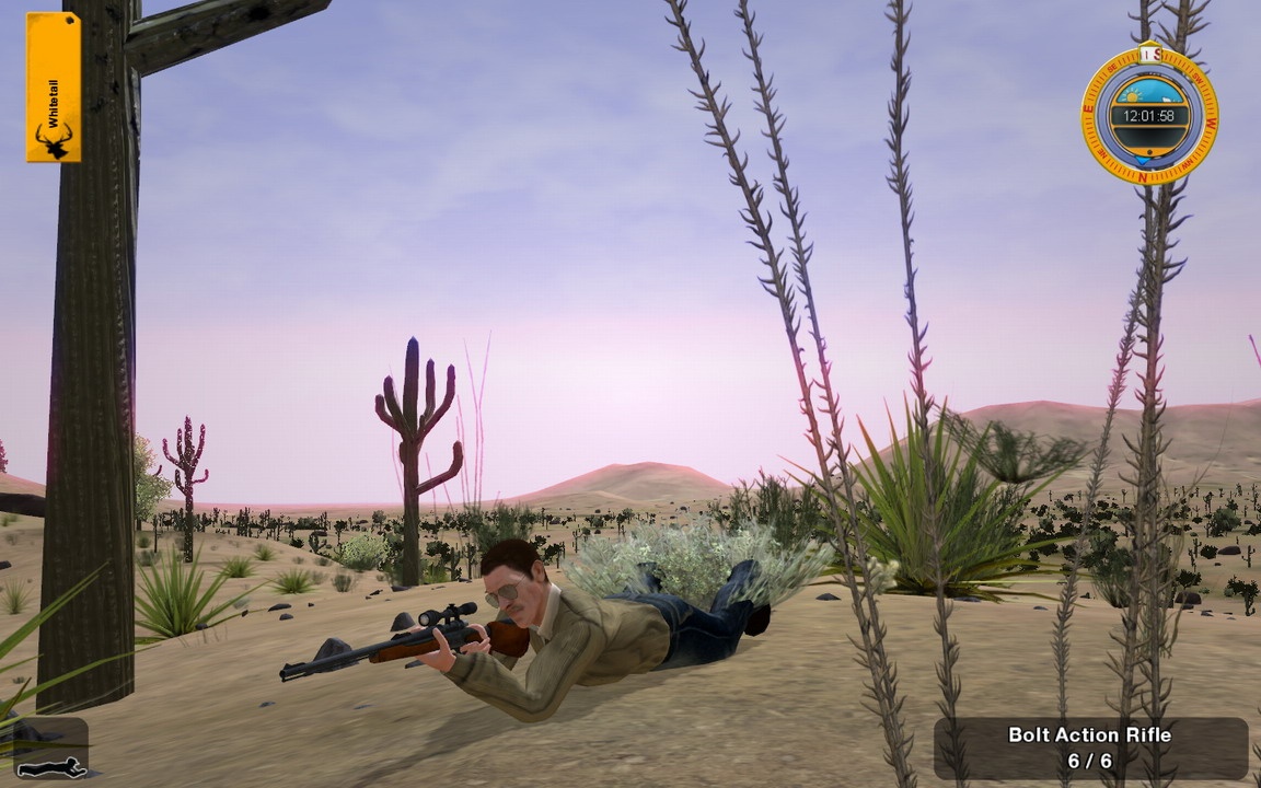 Screenshots