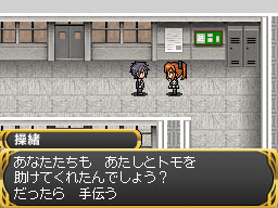 DS Screenshots