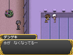 DS Screenshots