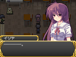 DS Screenshots
