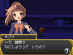 DS Screenshots