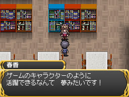 DS Screenshots