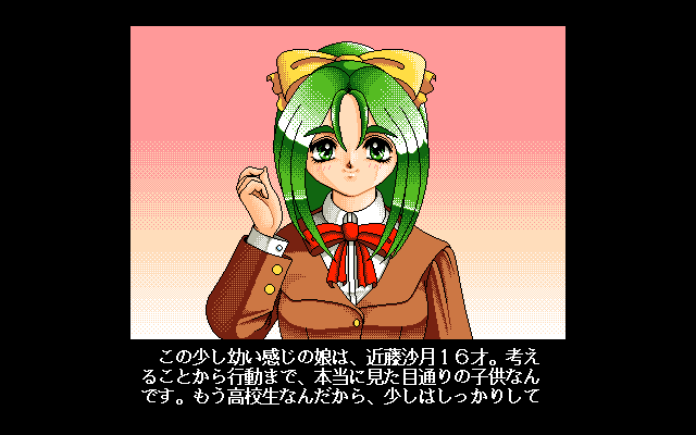 PC-98 Screenshots