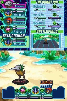 DS Screenshots