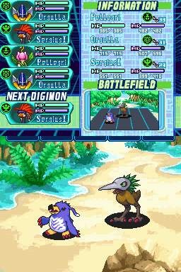 DS Screenshots