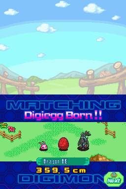 DS Screenshots