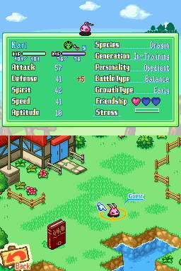 DS Screenshots