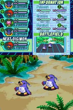 DS Screenshots