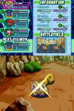 DS Screenshots