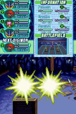 DS Screenshots