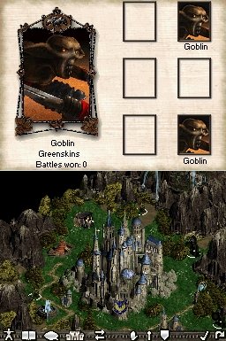 DS Screenshots