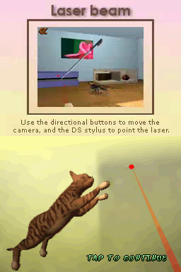 DS Screenshots