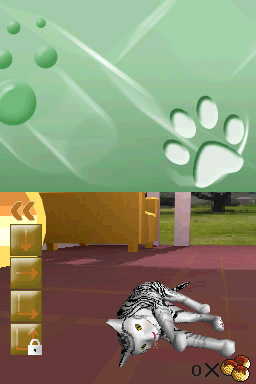 DS Screenshots