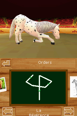 Discovery Kids: Pony Paradise