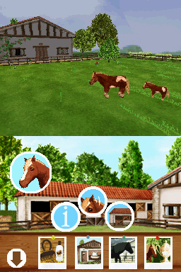 DS Screenshots
