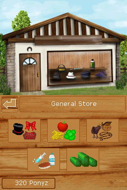 DS Screenshots