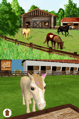 DS Screenshots