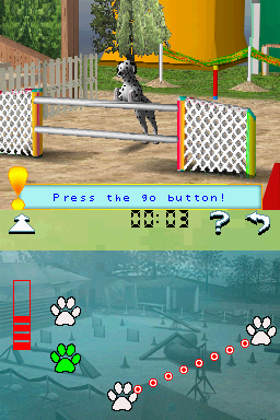 DS Screenshots