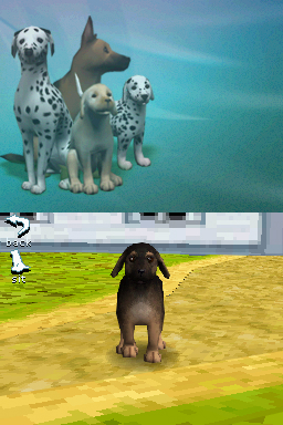 DS Screenshots