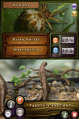 Discovery Kids: Spider Quest