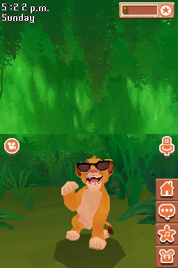 DS Screenshots