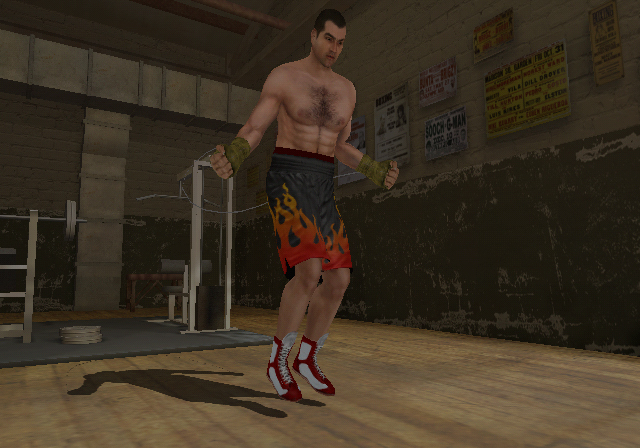 WII Screenshots