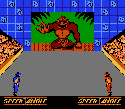 NES Screenshots