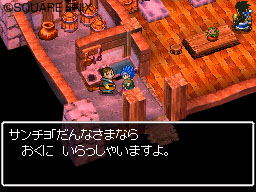 DS Screenshots