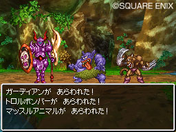 DS Screenshots