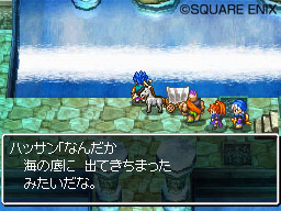 DS Screenshots