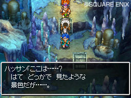 DS Screenshots
