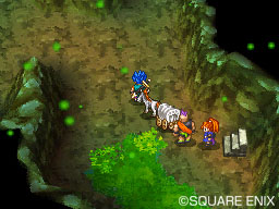 DS Screenshots