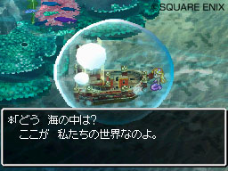 DS Screenshots