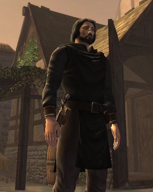 Drakensang: The Dark Eye