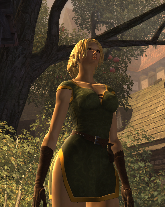 Drakensang: The Dark Eye