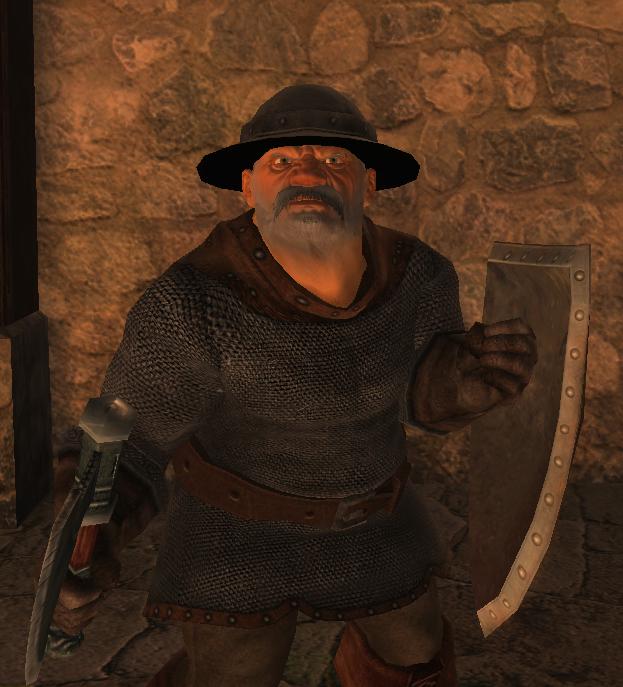 Drakensang: The Dark Eye