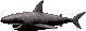 Enemies