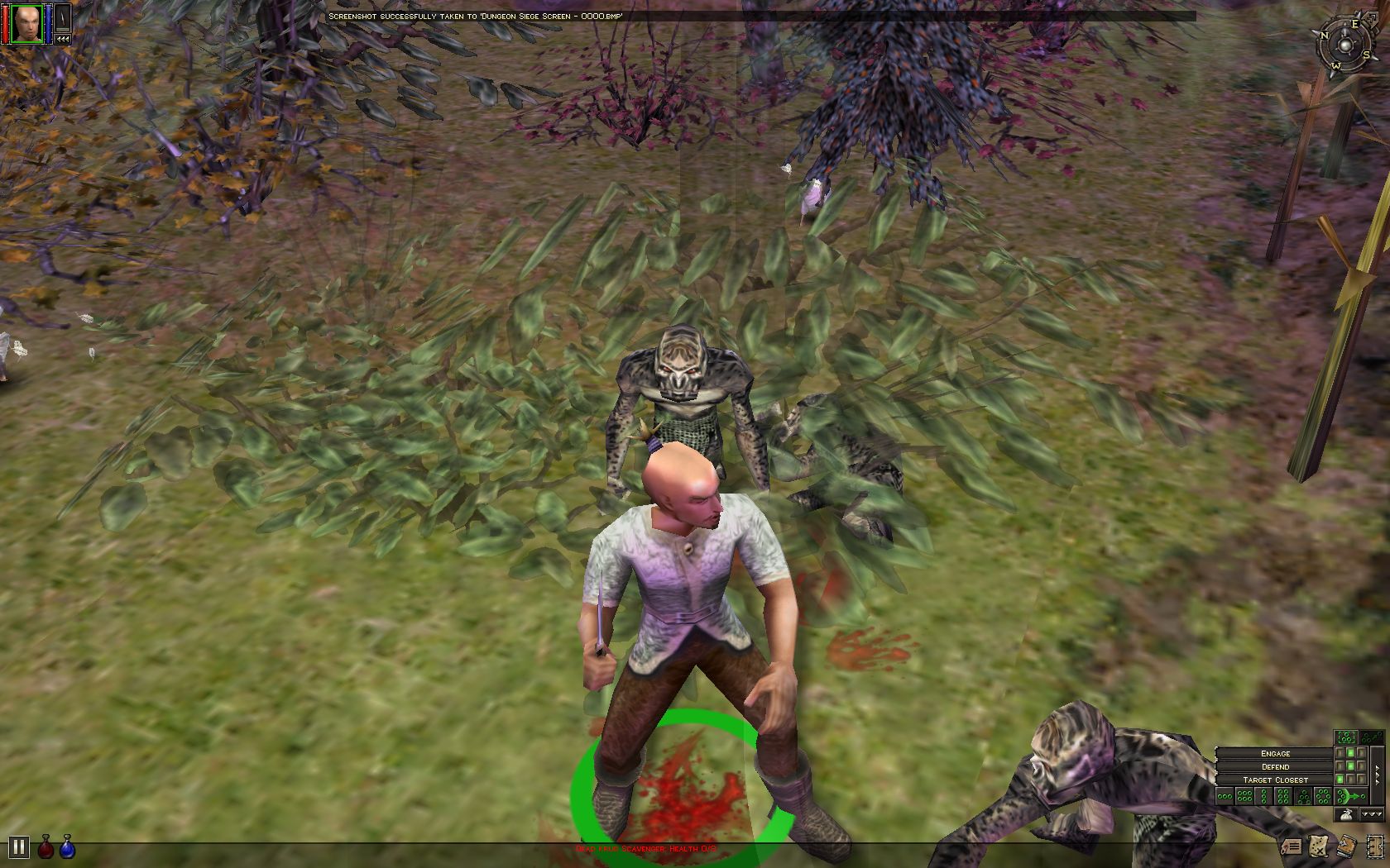 Dungeon Siege