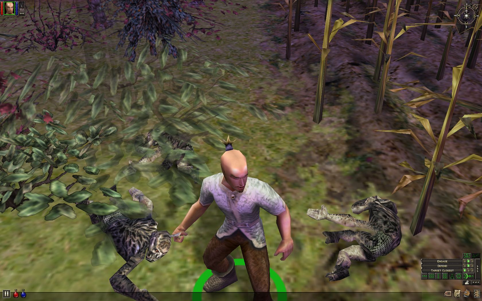 Dungeon Siege