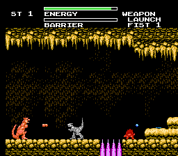 NES Screenshots