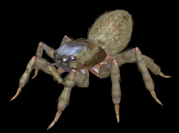 Concept Art