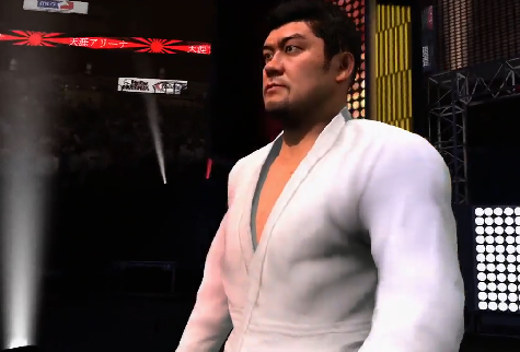 EA Sports MMA