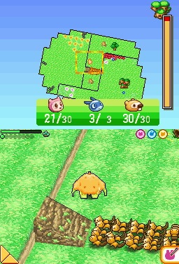 DS Screenshots