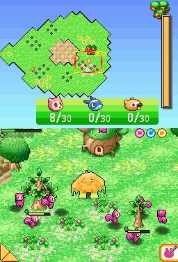 DS Screenshots