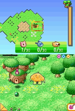 DS Screenshots
