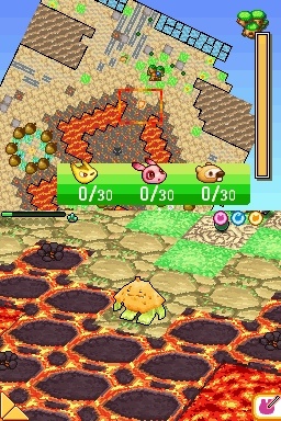 DS Screenshots