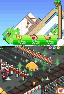 DS Screenshots