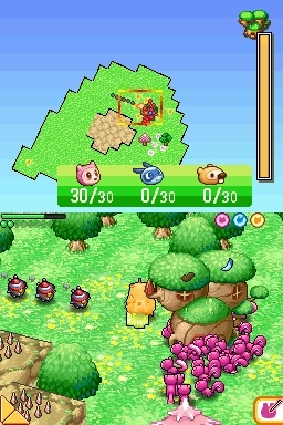 DS Screenshots